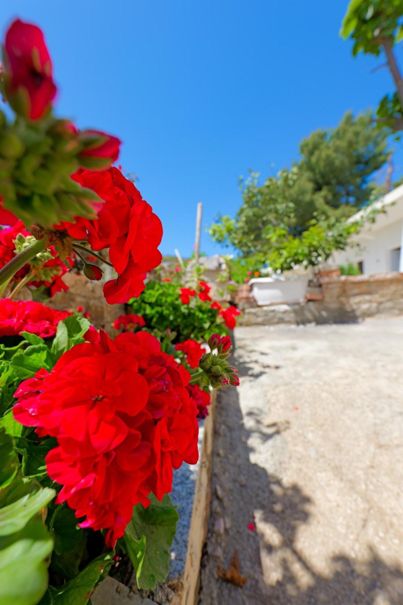 Flower Apartamento Sarandë
