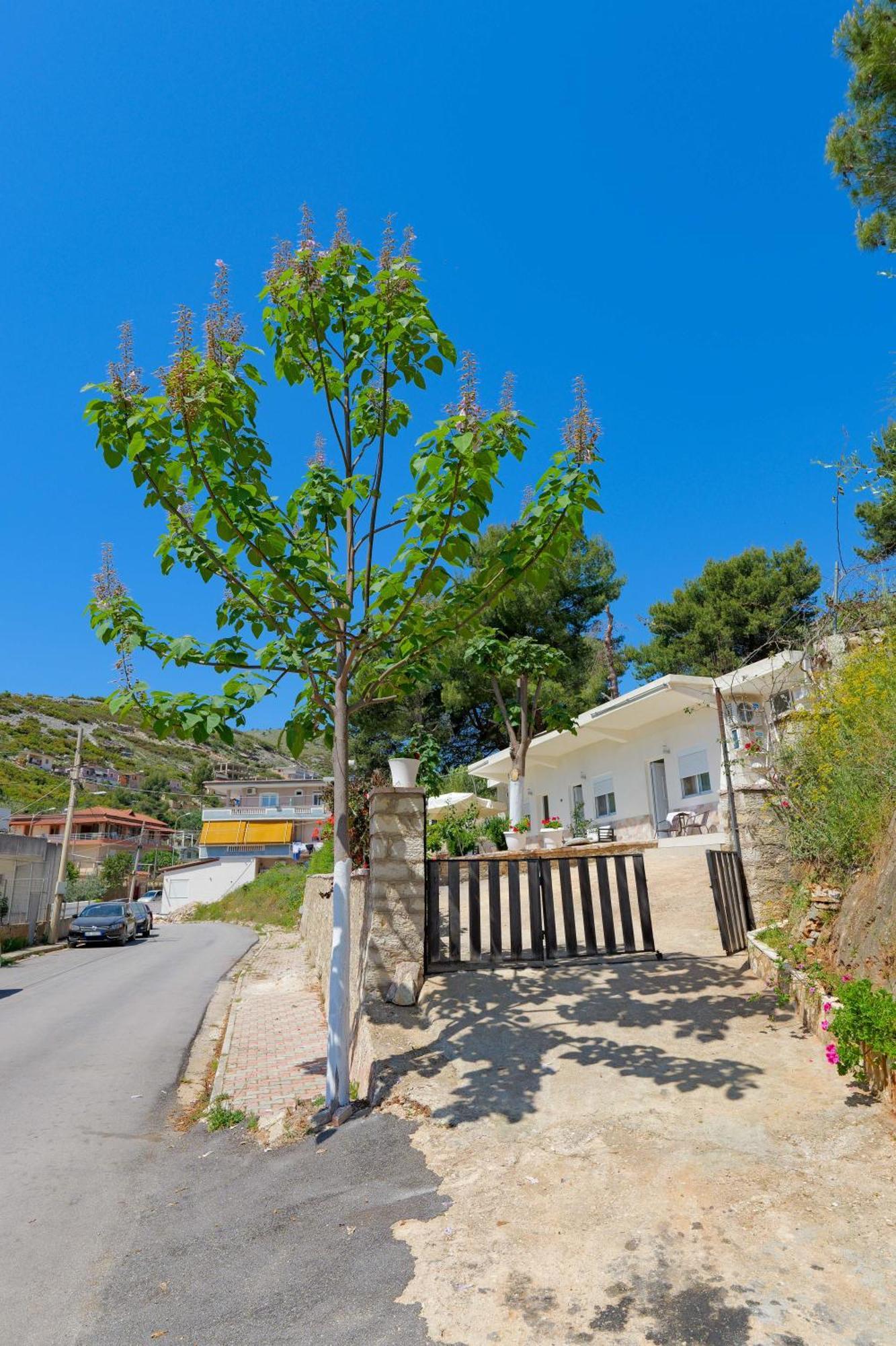 Apartamento Flower Sarandë