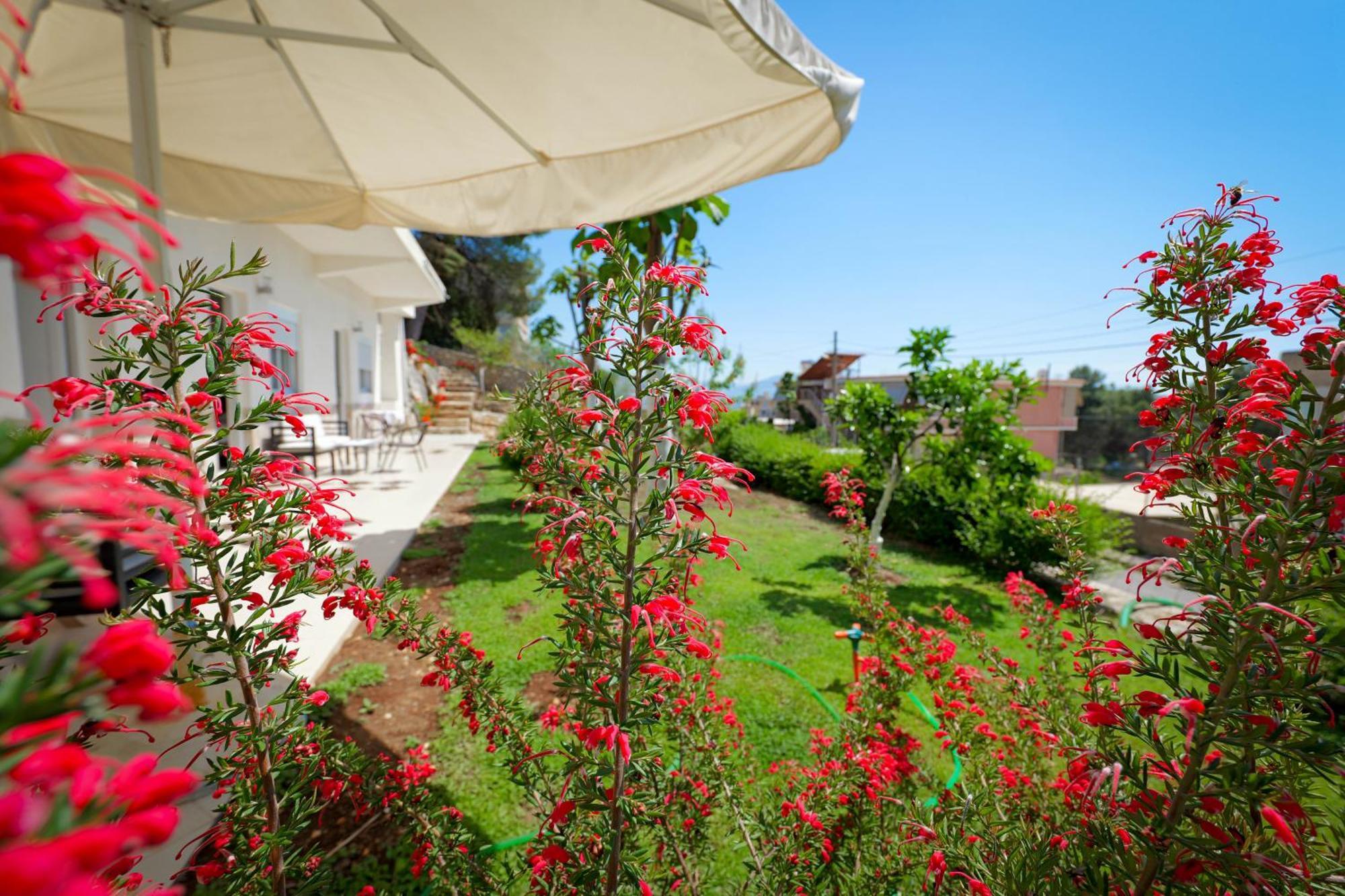 Appartement Flower *